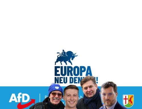 Europawahl 2024 – nur AfD!